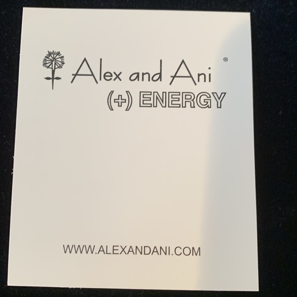 Alex and Ani Aquamarine Bracelet (+) Energy NWOT - Picture 2 of 3